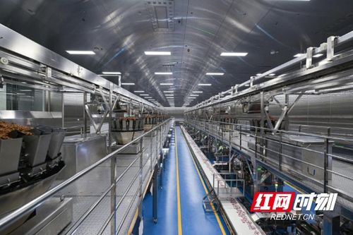 清華大學學子走進勁仔食品，共探“科研興企”新路徑